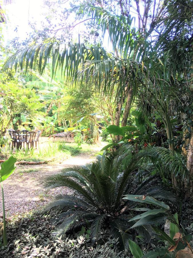 Jatai Guest House Ubatuba Zewnętrze zdjęcie